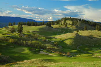Panoramic Predator Course